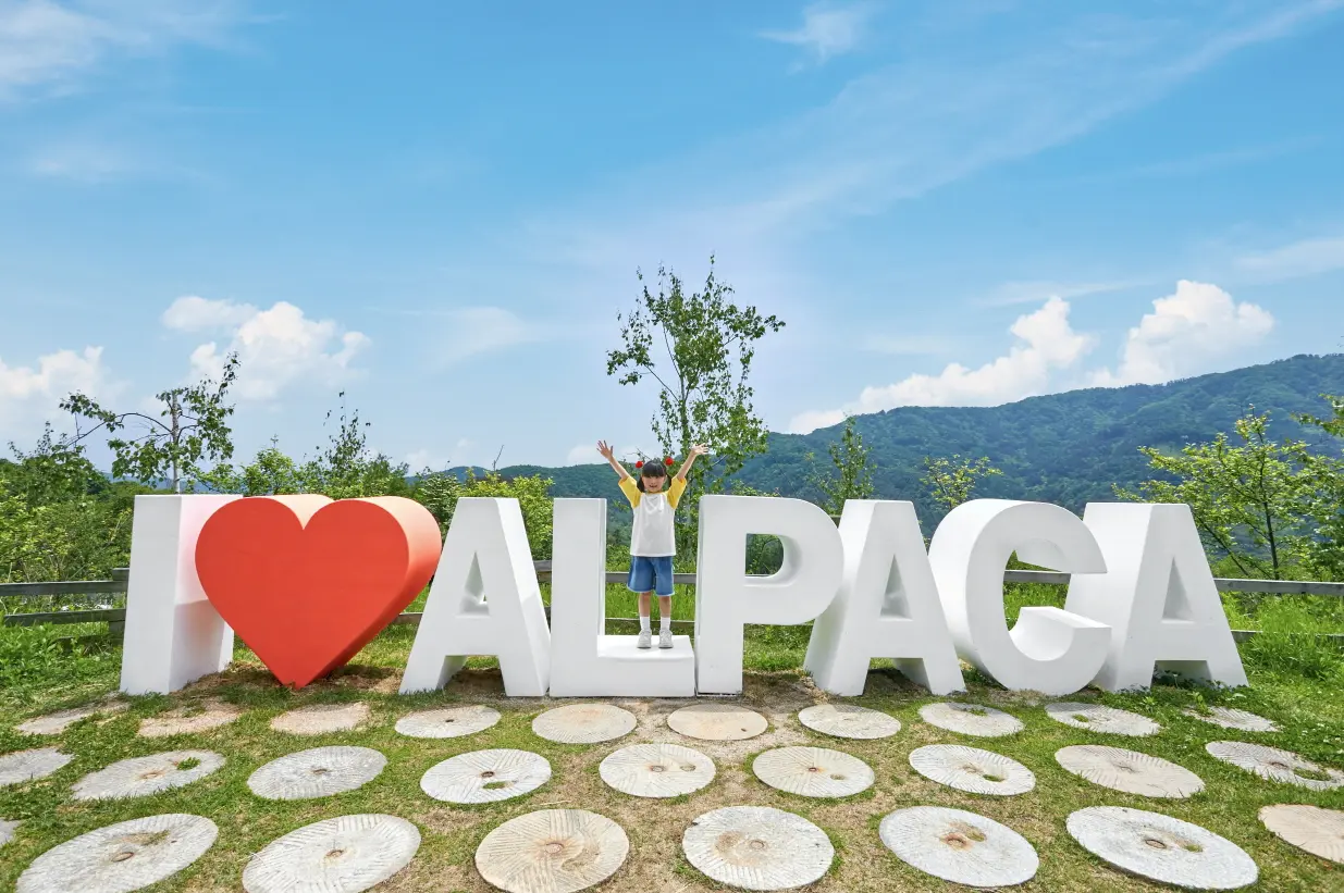 [Non-Korean] [Gangwon] Alpaca World Admission Ticket in Seoul - Photo 2