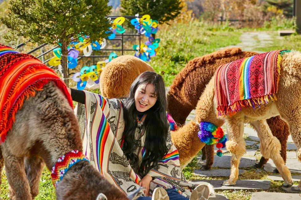 [Non-Korean] [Gangwon] Alpaca World Admission Ticket in Seoul - Photo 8