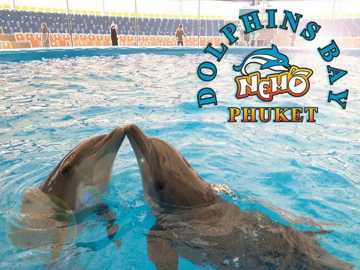 Dolphins Bay Phuket in Phuket