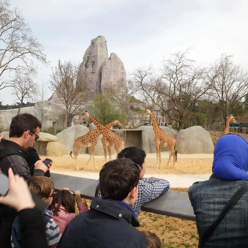 Paris Zoological Park Paris Zoological Park in Paris - Photo 4