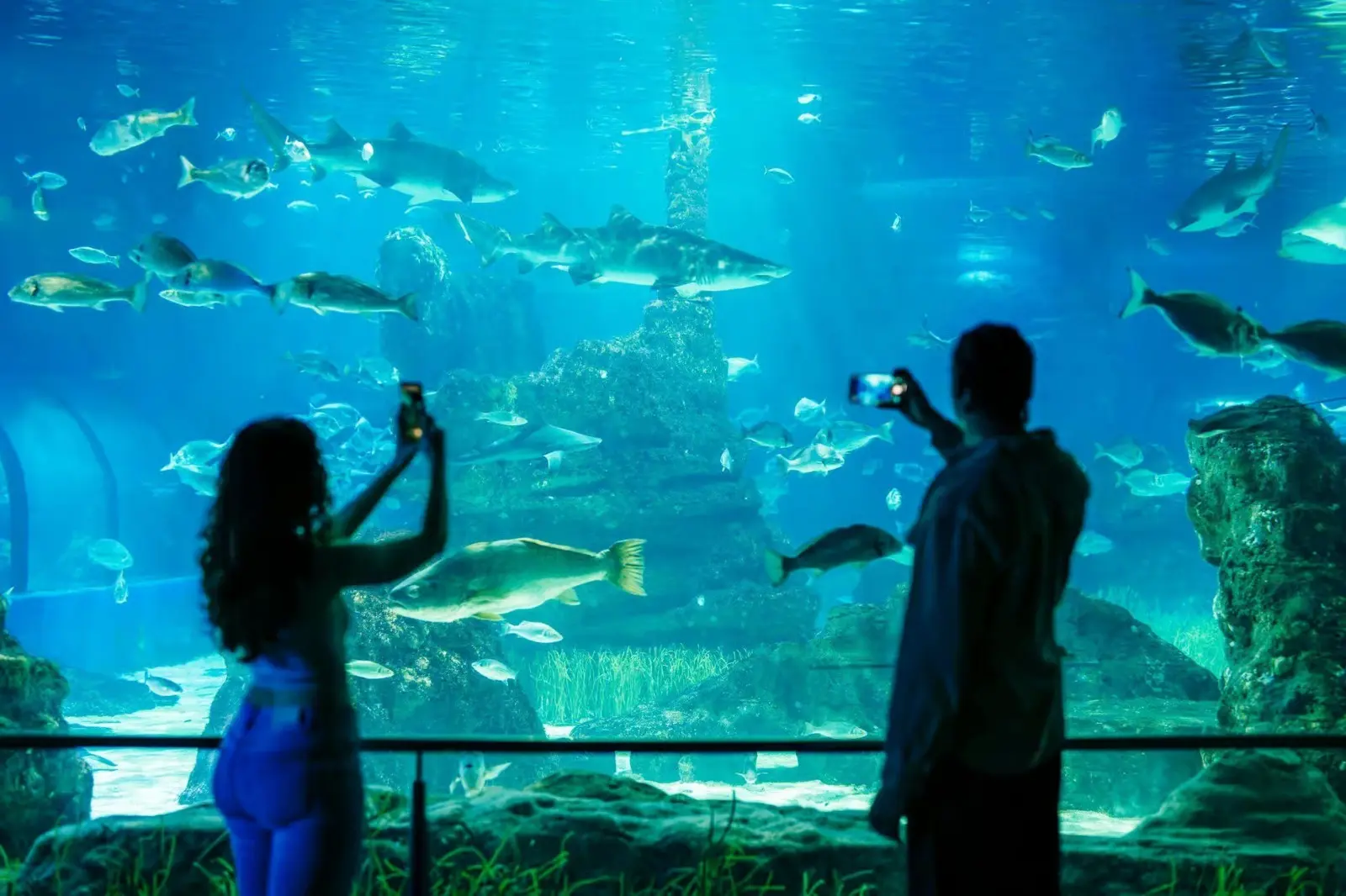 Barcelona Aquarium: Entry Ticket in Barcelona - Photo 8