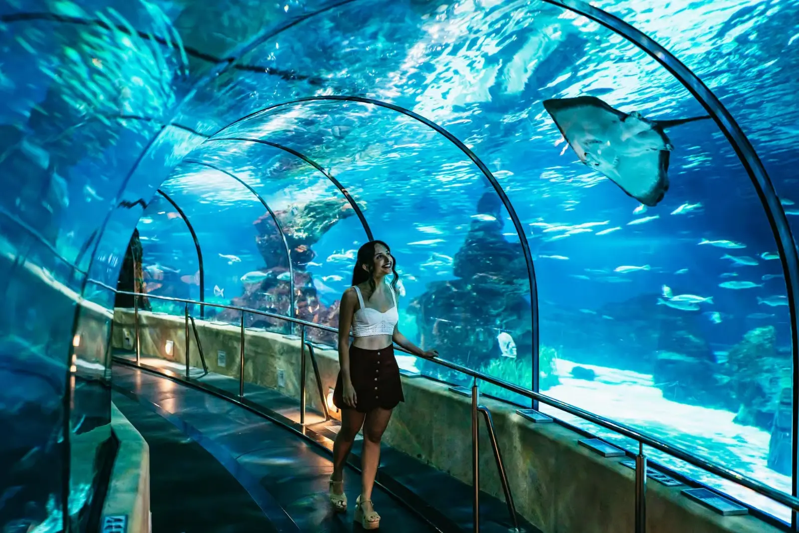 Barcelona Aquarium: Entry Ticket in Barcelona