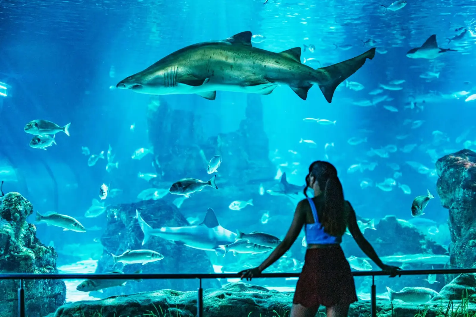 Barcelona Aquarium: Entry Ticket in Barcelona - Photo 9