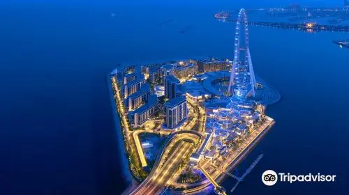 Ain Dubai in Dubai - Photo 4