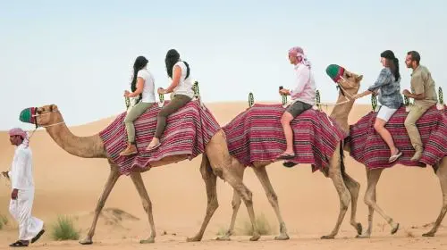 Dubai Platinum Heritage Desert Safari with BBQ Dinner Day Tours in Dubai