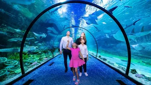 The National Aquarium Abu Dhabi in Dubai