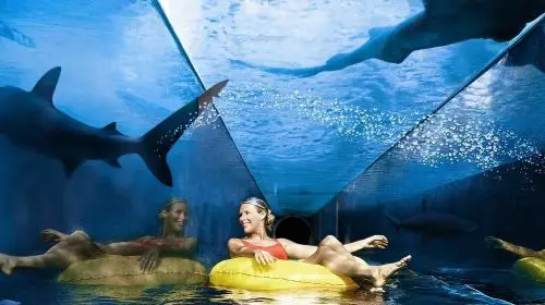 Dubai Atlantis Aquaventure Water Park tour with Transfers Day Tours in Dubai
