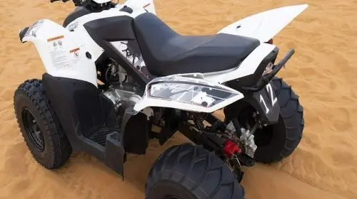 Dubai, UAE Quad Bike & Dune Buggy 117536 in Dubai - Photo 5