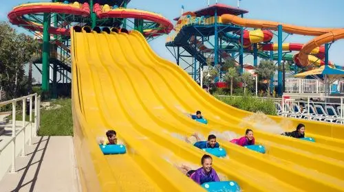 Dubai Legoland Theme Park or Water Park Tour with Private Transfers Day Tours in Dubai