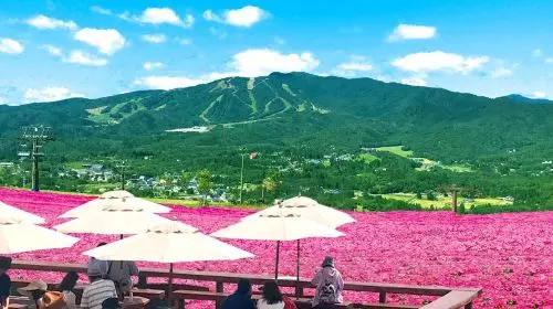 Hirugano plateau in Tokyo