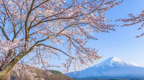 Iconic Fuji Adventure: Kawaguchiko, Stairway Town & Instagram Hotspots Iconic Fuji Adventure: Kawaguchiko, Stairway Town & Instagram Hotspots in Tokyo - Photo 2