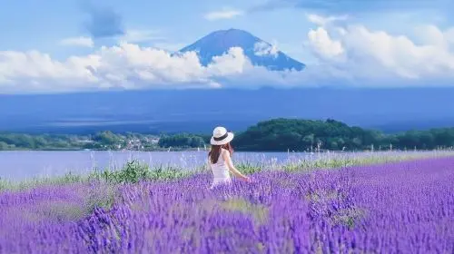 Iconic Fuji Adventure: Kawaguchiko, Stairway Town & Instagram Hotspots Iconic Fuji Adventure: Kawaguchiko, Stairway Town & Instagram Hotspots in Tokyo - Photo 5
