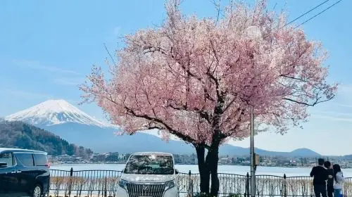 Iconic Fuji Adventure: Kawaguchiko, Stairway Town & Instagram Hotspots Iconic Fuji Adventure: Kawaguchiko, Stairway Town & Instagram Hotspots in Tokyo - Photo 7