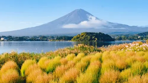 Iconic Fuji Adventure: Kawaguchiko, Stairway Town & Instagram Hotspots Iconic Fuji Adventure: Kawaguchiko, Stairway Town & Instagram Hotspots in Tokyo - Photo 8