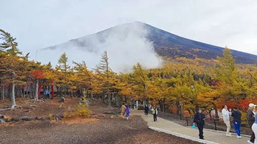 Japan Mt. Fuji 5th Station Climbing Experience, Strolling through Oshino Hakkai, and Hot Spring Experience Healing one-day tour in Tokyo - Photo 6