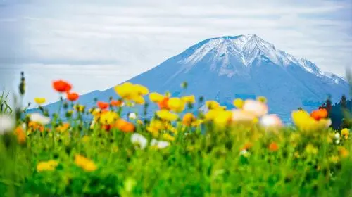 Japan Mt. Fuji 5th Station Climbing Experience, Strolling through Oshino Hakkai, and Hot Spring Experience Healing one-day tour in Tokyo