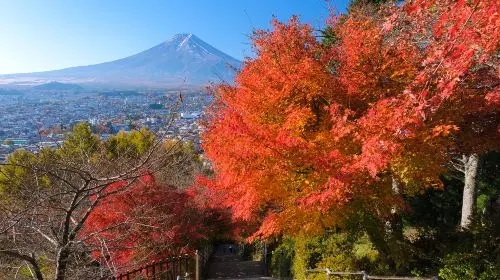 Japan Mt. Fuji 5th Station Climbing Experience, Strolling through Oshino Hakkai, and Hot Spring Experience Healing one-day tour in Tokyo - Photo 10