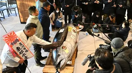 Tokyo: Toyosu Tuna Auction &Tsukiji Market Gourmet Adventure in Tokyo