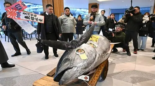 Tokyo: Toyosu Tuna Auction &Tsukiji Market Gourmet Adventure in Tokyo - Photo 7