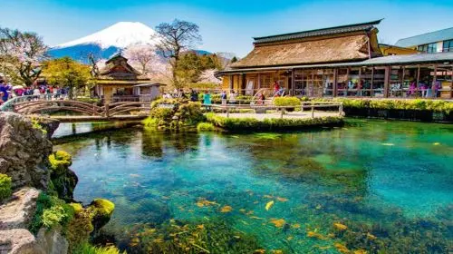 1-day Fuji Five Lakes Fall Foliage Tour: Lake Kawaguchi, Lake Yamanaka, Lawson, Hikawa Clock Shop in Tokyo - Photo 3
