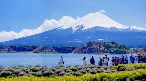 1-day Fuji Five Lakes Fall Foliage Tour: Lake Kawaguchi, Lake Yamanaka, Lawson, Hikawa Clock Shop in Tokyo - Photo 4