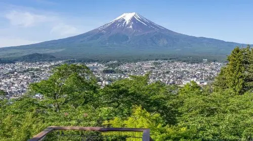 1-day Fuji Five Lakes Fall Foliage Tour: Lake Kawaguchi, Lake Yamanaka, Lawson, Hikawa Clock Shop in Tokyo - Photo 5