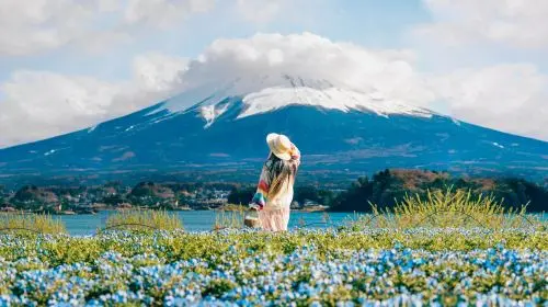 1-day Fuji Five Lakes Fall Foliage Tour: Lake Kawaguchi, Lake Yamanaka, Lawson, Hikawa Clock Shop in Tokyo