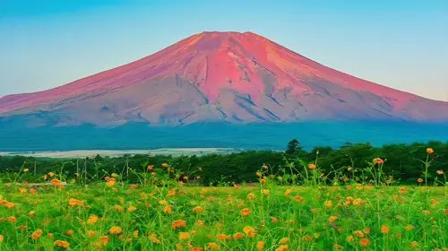 1-day Fuji Five Lakes Fall Foliage Tour: Lake Kawaguchi, Lake Yamanaka, Lawson, Hikawa Clock Shop in Tokyo - Photo 7