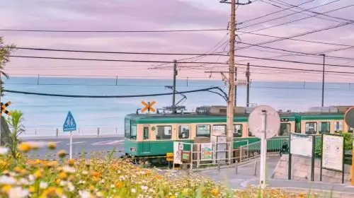 Kotoku-in + Komachi Street + Enoshima + Tsurugaoka Hachimangu one-day tour with free Enoden train experience in Tokyo
