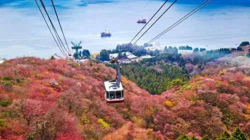 Hakone Owakudani and Lake Yamanaka Day Tour, Free Hakone Ropeway, Optional 9-Person Small Group Transfer Hakone Owakudani and Lake Yamanaka Day Tour, Free Hakone Ropeway, Optional 9-Person Small Group Transfer in Tokyo - Photo 6