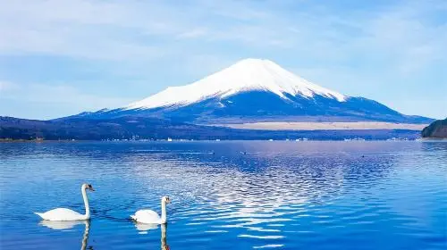 Hakone Owakudani and Lake Yamanaka Day Tour, Free Hakone Ropeway, Optional 9-Person Small Group Transfer Hakone Owakudani and Lake Yamanaka Day Tour, Free Hakone Ropeway, Optional 9-Person Small Group Transfer in Tokyo - Photo 10