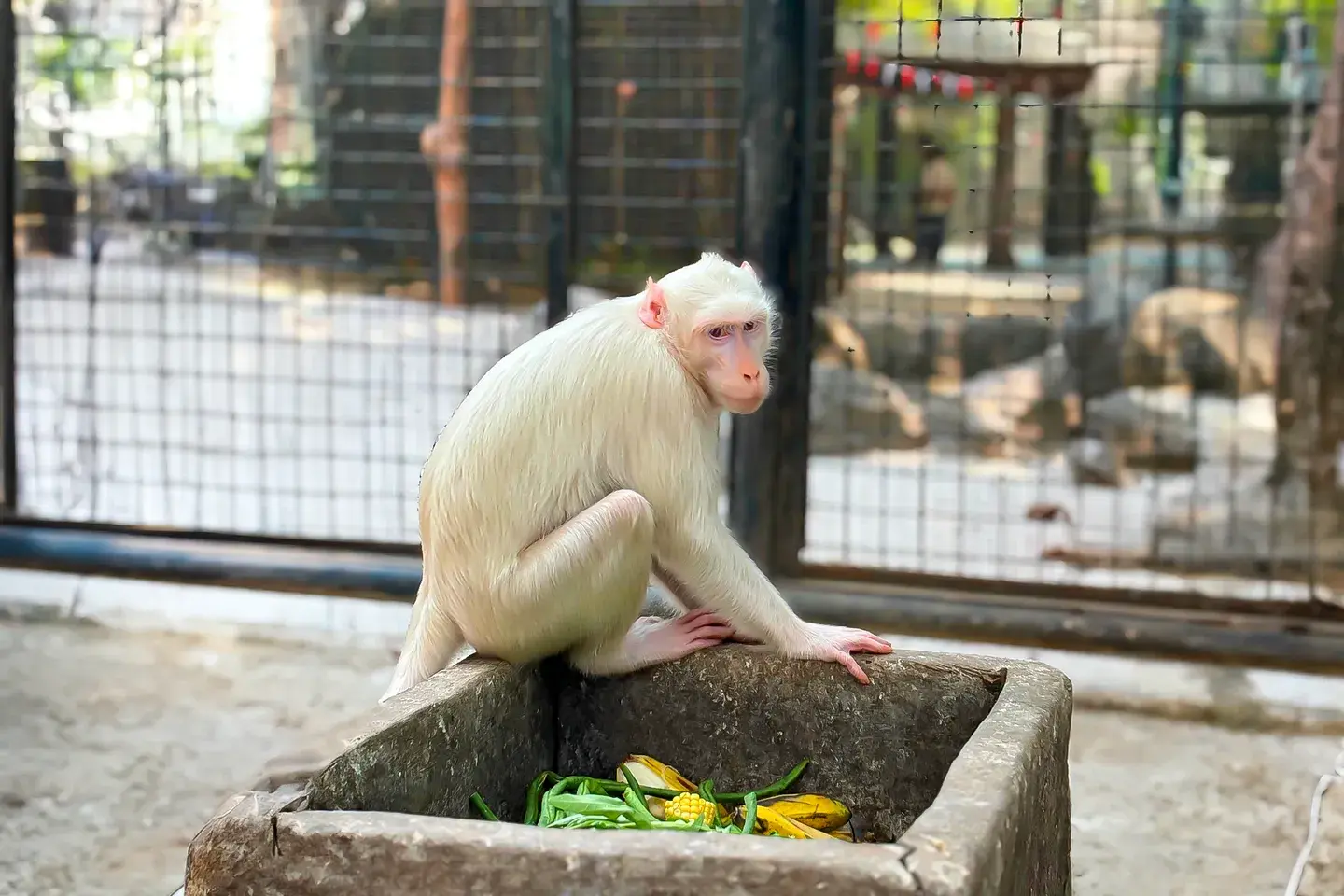 Faunaland Ancol in Jakarta - Photo 2