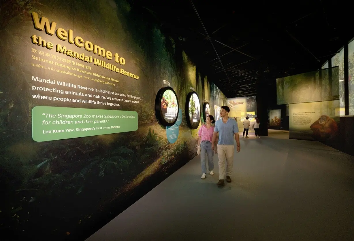 Curiosity Cove in Singapore - Photo 3