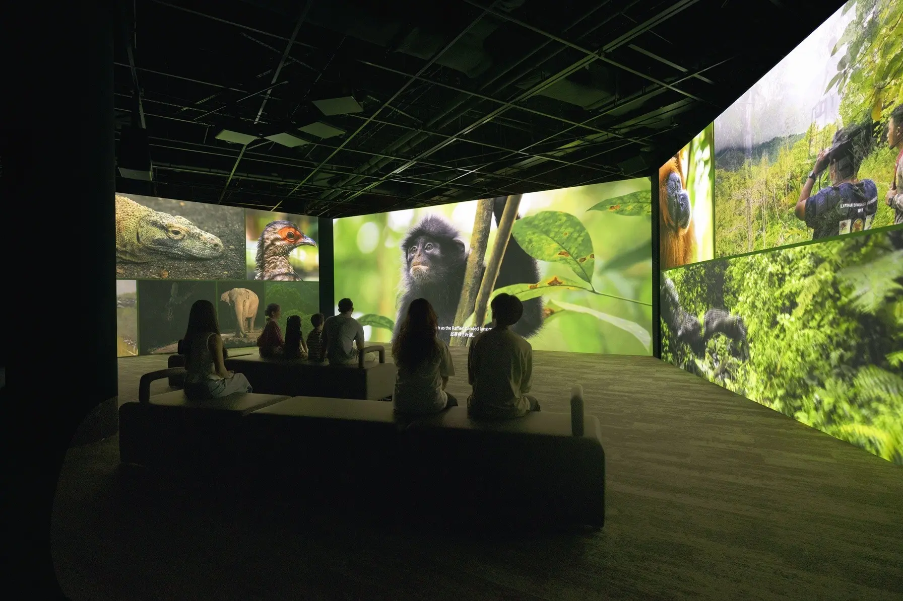 Curiosity Cove in Singapore - Photo 6