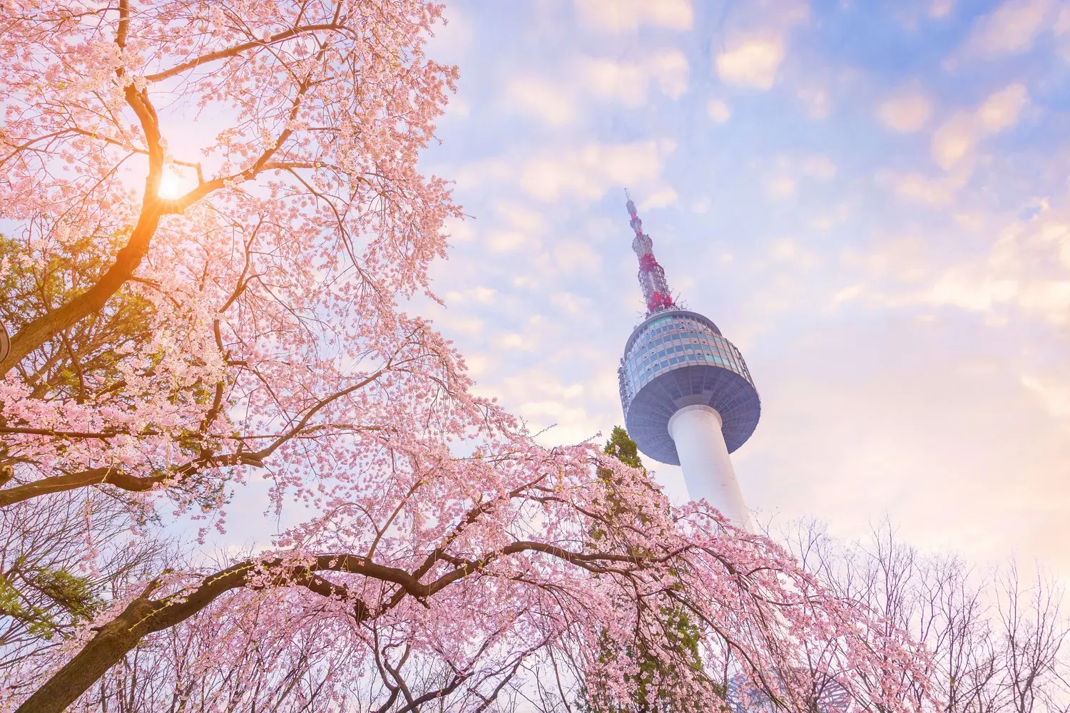 N Seoul Tower in Seoul - Photo 2