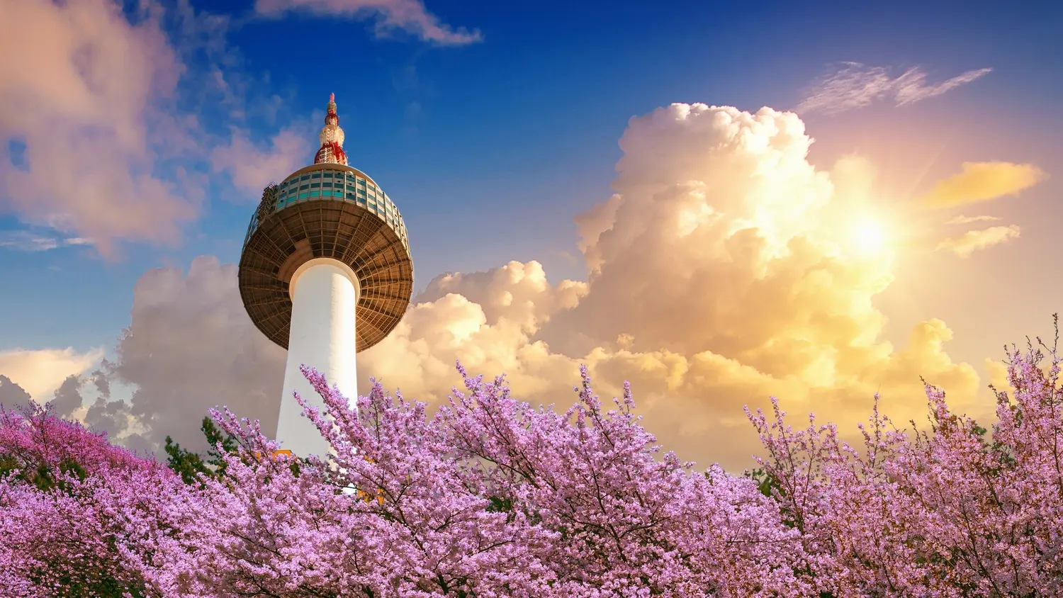 N Seoul Tower in Seoul - Photo 3