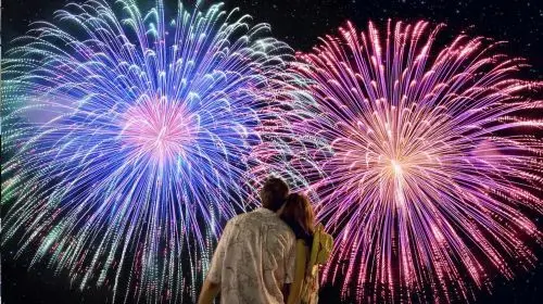 Tokyo Atami Sea Fireworks Tour Day Tours Tokyo Atami Sea Fireworks Tour Day Tours in Tokyo - Photo 3