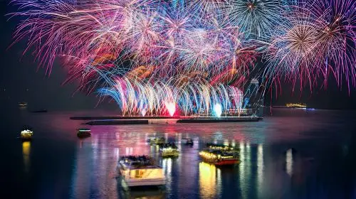 Tokyo Atami Sea Fireworks Tour Day Tours in Tokyo