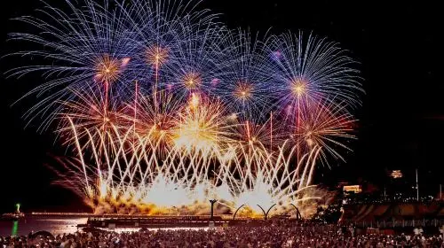 Tokyo Atami Sea Fireworks Tour Day Tours Tokyo Atami Sea Fireworks Tour Day Tours in Tokyo - Photo 5