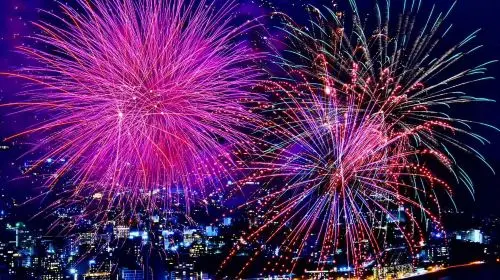 Tokyo Atami Sea Fireworks Tour Day Tours Tokyo Atami Sea Fireworks Tour Day Tours in Tokyo - Photo 9