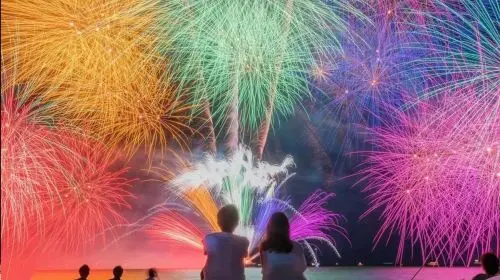 Tokyo Atami Sea Fireworks Tour Day Tours Tokyo Atami Sea Fireworks Tour Day Tours in Tokyo - Photo 11