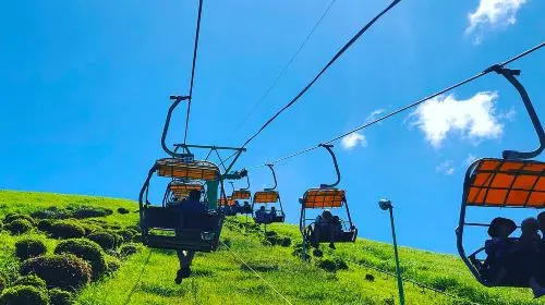 1-day tour to Atami and Mt. Omuro with fireworks [optional 9-person small group | hotel pickup | Chinese/English-speaking guide] in Tokyo - Photo 4