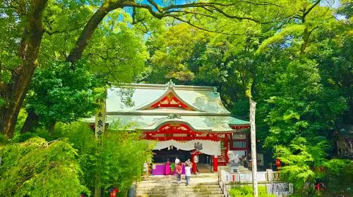 1-day tour to Atami and Mt. Omuro with fireworks [optional 9-person small group | hotel pickup | Chinese/English-speaking guide] in Tokyo - Photo 5