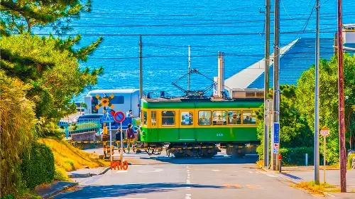 1-day tour to Atami and Mt. Omuro with fireworks [optional 9-person small group | hotel pickup | Chinese/English-speaking guide] in Tokyo - Photo 8