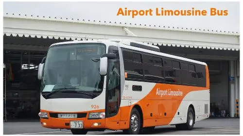 Official Ticket: Tokyo Limousine Bus|Available from Narita Airport/Haneda Airport/various city stations Transport Passes Official Ticket: Tokyo Limousine Bus|Available from Narita Airport/Haneda Airport/various city stations Transport Passes in Tokyo - Photo 8