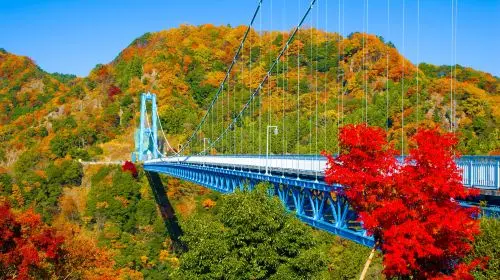 [Guaranteed Departure] Ibaraki Autumn Special: Hitachi Seaside Park, Fukuroda Falls and Ryujin Suspension Bridge (From Tokyo Japan) in Tokyo - Photo 4