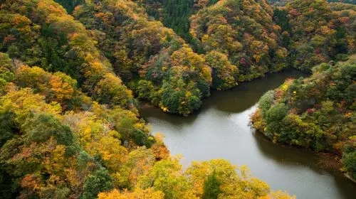 [Guaranteed Departure] Ibaraki Autumn Special: Hitachi Seaside Park, Fukuroda Falls and Ryujin Suspension Bridge (From Tokyo Japan) in Tokyo - Photo 5