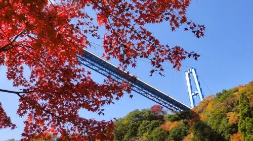 [Guaranteed Departure] Ibaraki Autumn Special: Hitachi Seaside Park, Fukuroda Falls and Ryujin Suspension Bridge (From Tokyo Japan) in Tokyo - Photo 6