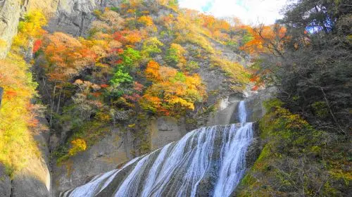 [Guaranteed Departure] Ibaraki Autumn Special: Hitachi Seaside Park, Fukuroda Falls and Ryujin Suspension Bridge (From Tokyo Japan) in Tokyo - Photo 7