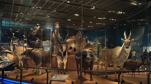 National Museum of Nature and Science in Tokyo - Photo 2